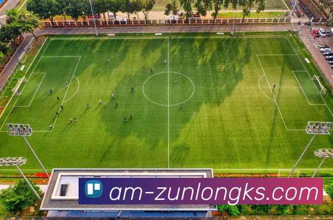 App Interface Preview