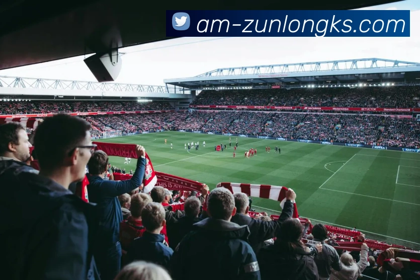 尊龙凯时官网APP 封面图